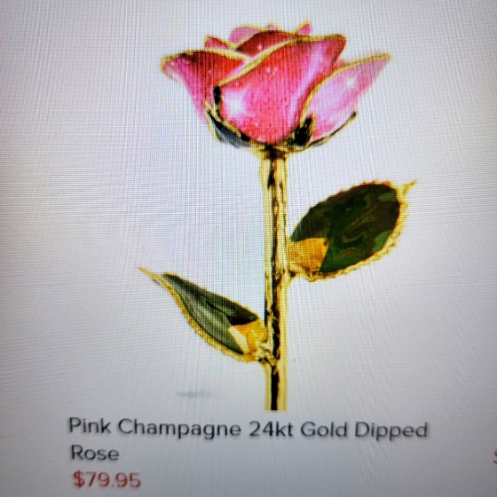 Valentine's Steven Singer Jewelry 24kt Gold Dipped Rose